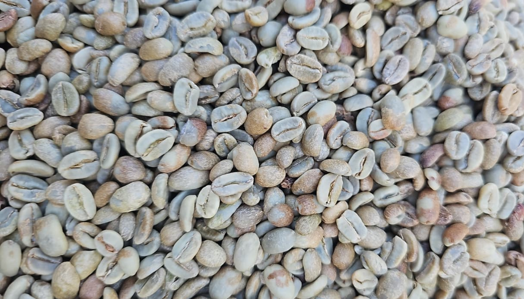 Arabica Specialty