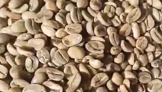 Arabica Specialty