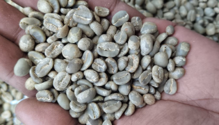 Arabica Specialty