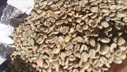 Arabica Commercial