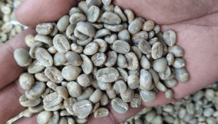 Arabica Commercial