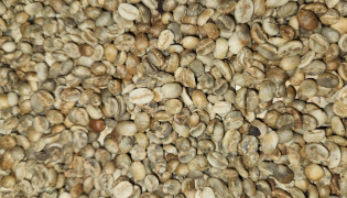 Robusta Commercial